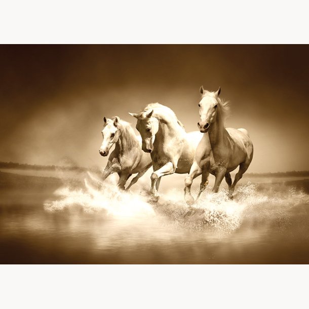 Canvas, Beach horses, 50x70cm