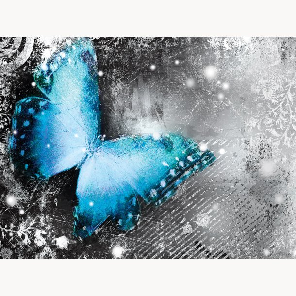 Canvas, Blue butterfly, 60x80cm