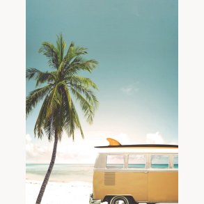 Canvas, Palm Tree, 60x80cm