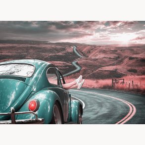 Canvas, Beetle, 50x70cm