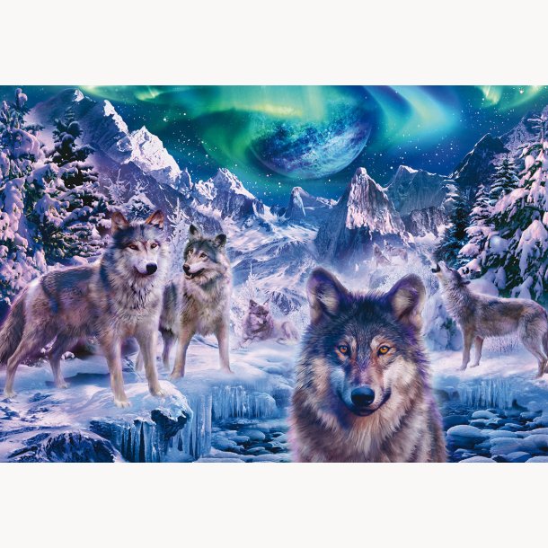 Canvas, Wolf, 80x116cm