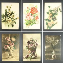 Papirkort pakke-tilbud - Spar 70%!