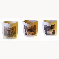 Papercard and bags package offer - Save 60%!