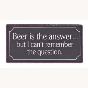 Magnet - Beer is the answer…
