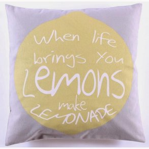 Cushion cover 50 x 50 cm