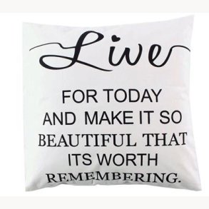 Cushion cover 50 x 50 cm