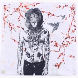 Pudebetrk 50 x 50 cm