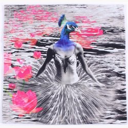 Pudebetrk 50 x 50 cm