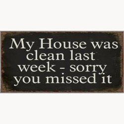 Magnet - My house was clean last week...