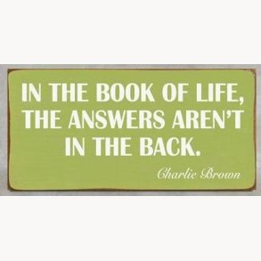 Magnet - In the book