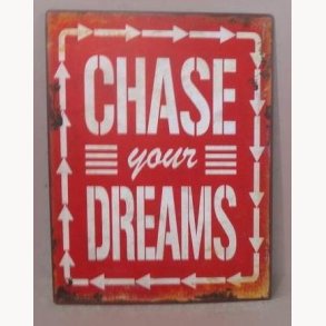 Sign - Chase your dreams