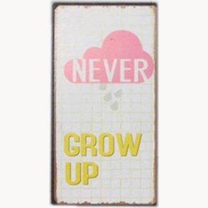 Magnet - Never grow up