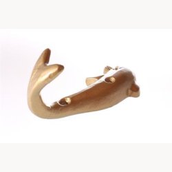 Hook - Dolphin