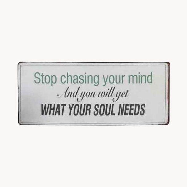 Skilt - Stop chasing your mind...