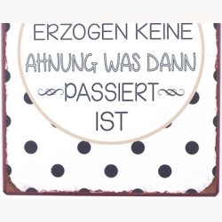 Skilt - Ich wurde gut erzogen keine ahnung was dann passiert ist