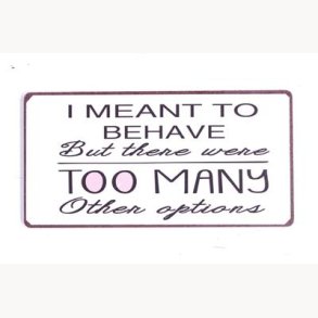 Magnet - I meant to behave...