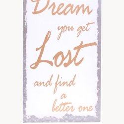 Skilt - Sometimes on the way to a dream...