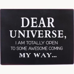 Skilt - Dear universe