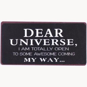 Magnet - Dear universe...