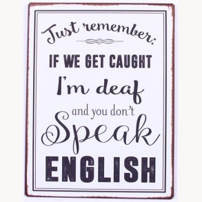 Skilt - Just remember: if we get ccaught...