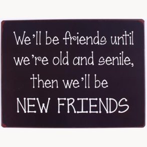 Sign - We'll be friends until...
