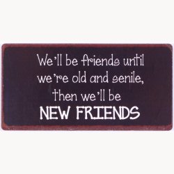 Magnet - We'll be friends until...