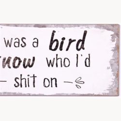 Skilt - If i was i bird i know who i'd shit on