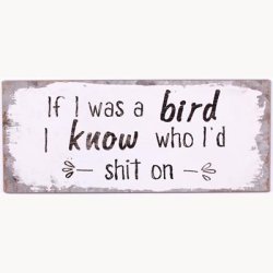 Skilt - If i was i bird i know who i'd shit on