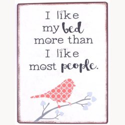 Skilt - I like my bed more than i like most people
