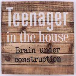 Tr Skilt - Teenager in the house...