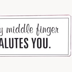 Skilt - My middle finger, salutes you