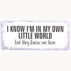 Skilt - I know i'm in my own little world...