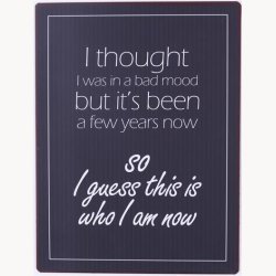 Skilt - I thought i was in a bad mood but...