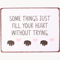 Skilt - Some things just fill your heart without trying