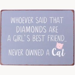 Skilt - Whoever said that diamonds are...