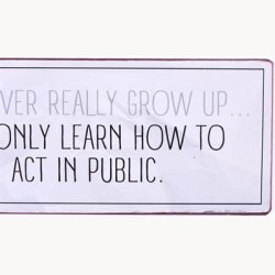 Skilt - We never really grow up...