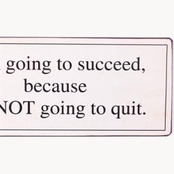 Skilt - I am going to succeed because...