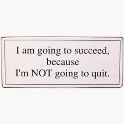 Skilt - I am going to succeed because...