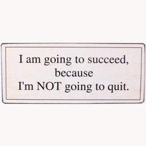 Skilt - I am going to succeed because...