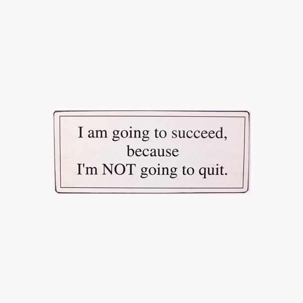 Skilt - I am going to succeed because...