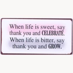 Magnet - When life is sweet, say thank you and celebrate...