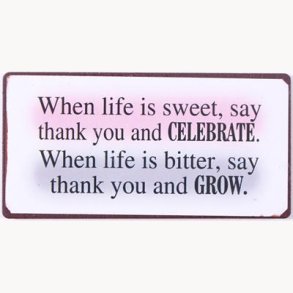 Magnet - When life is sweet, say thank you and celebrate...