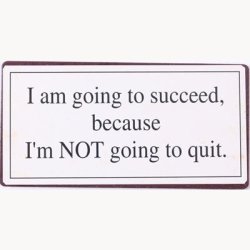 Magnet - I am going to succeed because...