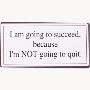 Magnet - I am going to succeed because...