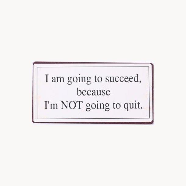 Magnet - I am going to succeed because...