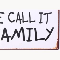 Skilt - You call it chaos we call it family