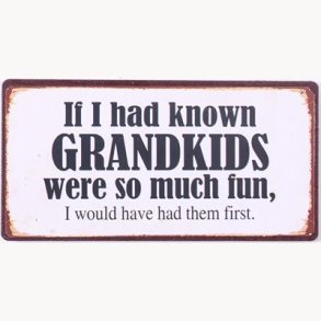 Magnet - If i had known grandkids....