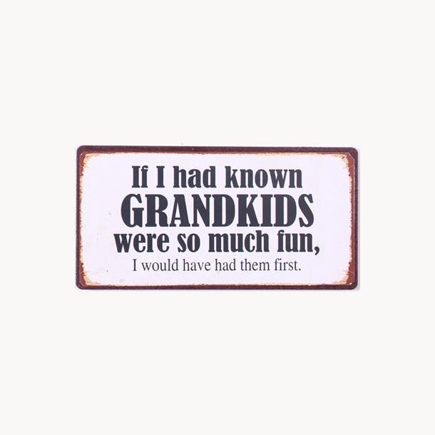 Magnet - If i had known grandkids....