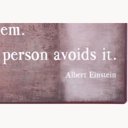 Skilt - A clever person solves a problem...