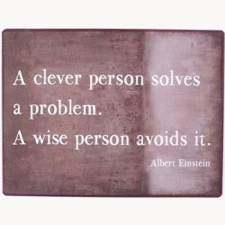 Skilt - A clever person solves a problem...